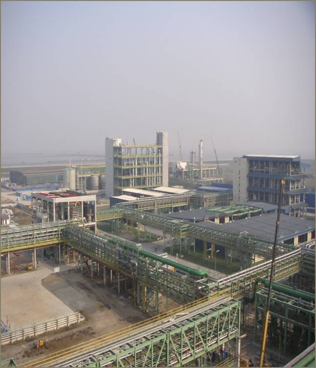 上海化工區德國拜爾項目